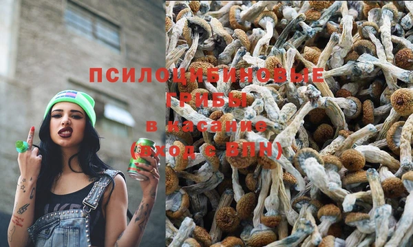 винт Алексеевка
