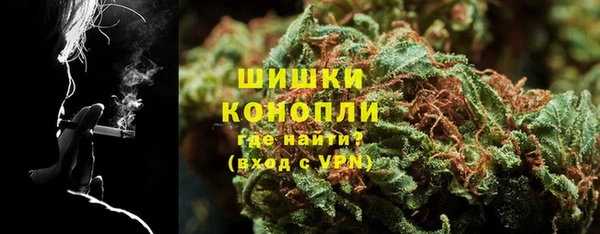 ПСИЛОЦИБИНОВЫЕ ГРИБЫ Алзамай