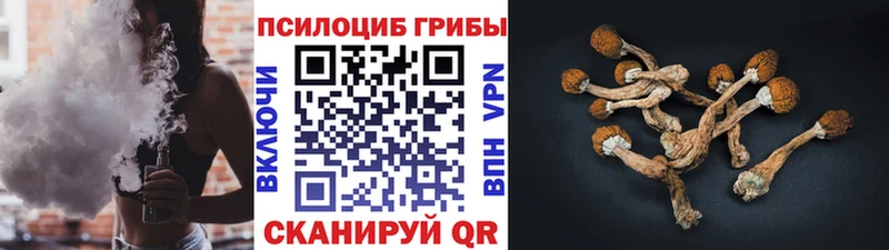 сколько стоит  Зеленоградск  shop наркотические препараты  Псилоцибиновые грибы прущие грибы 